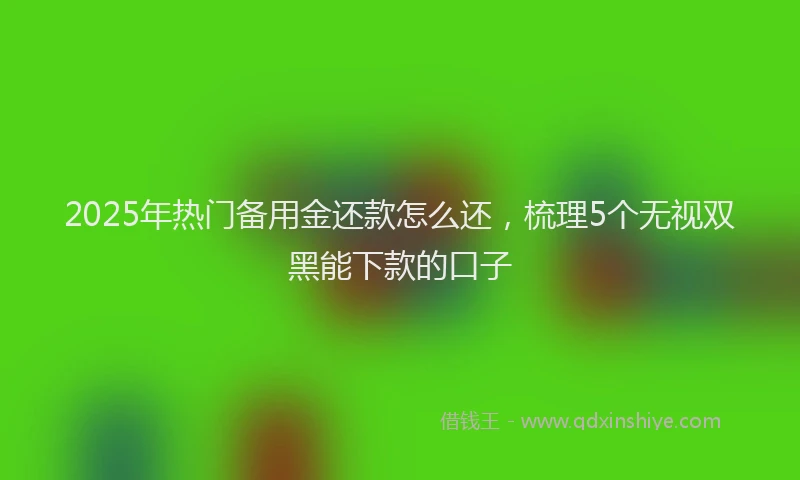 2025年热门备用金还款怎么还，梳理5个无视双黑能下款的口子