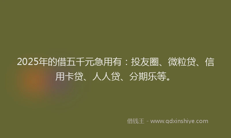 2025年的借五千元急用有：投友圈、微粒贷、信用卡贷、人人贷、分期乐等。