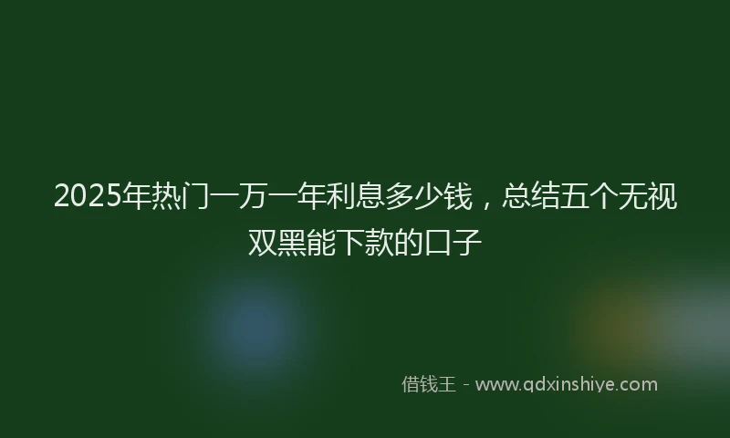 2025年热门一万一年利息多少钱，总结五个无视双黑能下款的口子