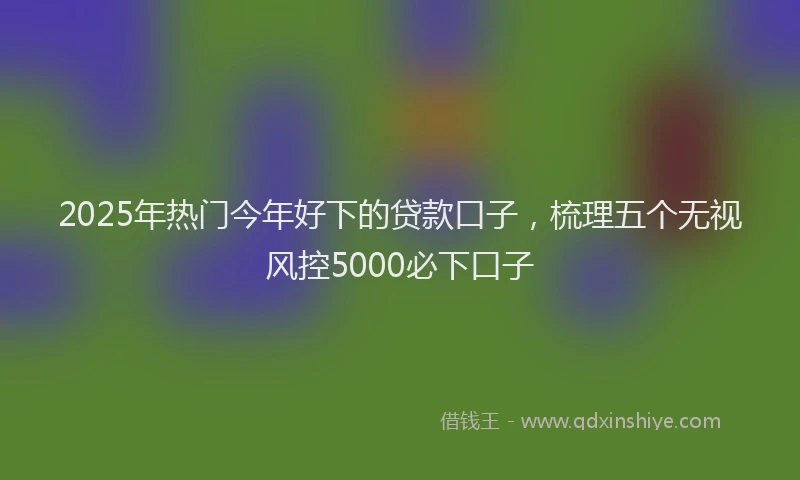 2025年热门今年好下的贷款口子，梳理五个无视风控5000必下口子