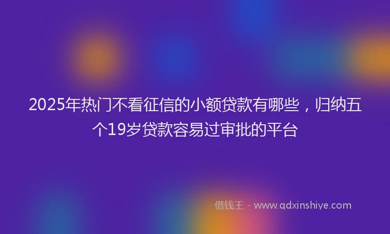 2025年热门不看征信的小额贷款有哪些，归纳五个19岁贷款容易过审批的平台