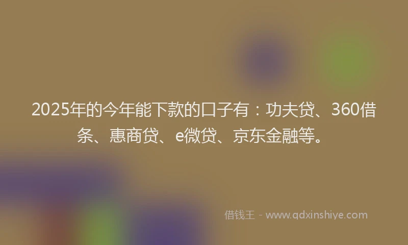 2025年的今年能下款的口子有：功夫贷、360借条、惠商贷、e微贷、京东金融等。