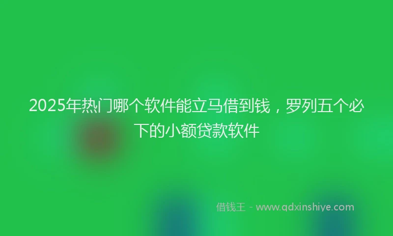 2025年热门哪个软件能立马借到钱，罗列五个必下的小额贷款软件