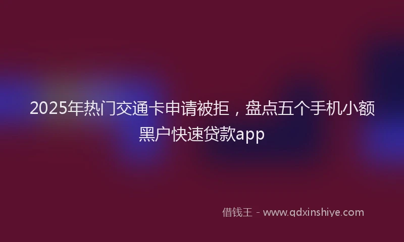 2025年热门交通卡申请被拒，盘点五个手机小额黑户快速贷款app