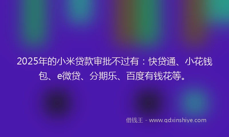 2025年的小米贷款审批不过有：快贷通、小花钱包、e微贷、分期乐、百度有钱花等。