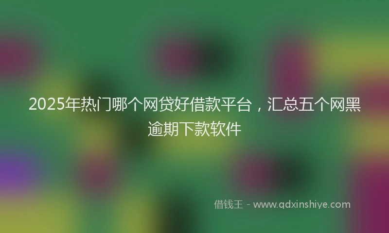 2025年热门哪个网贷好借款平台，汇总五个网黑逾期下款软件