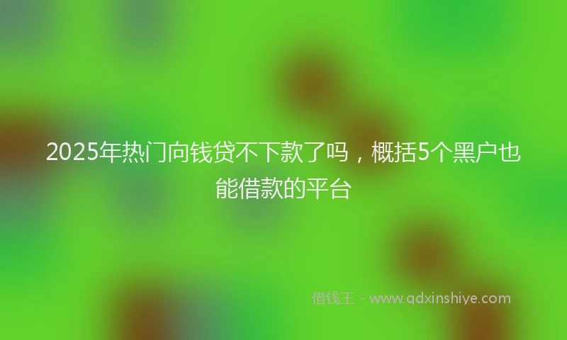 2025年热门向钱贷不下款了吗，概括5个黑户也能借款的平台