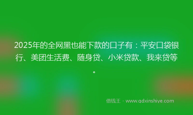 2025年的全网黑也能下款的口子有：平安口袋银行、美团生活费、随身贷、小米贷款、我来贷等。