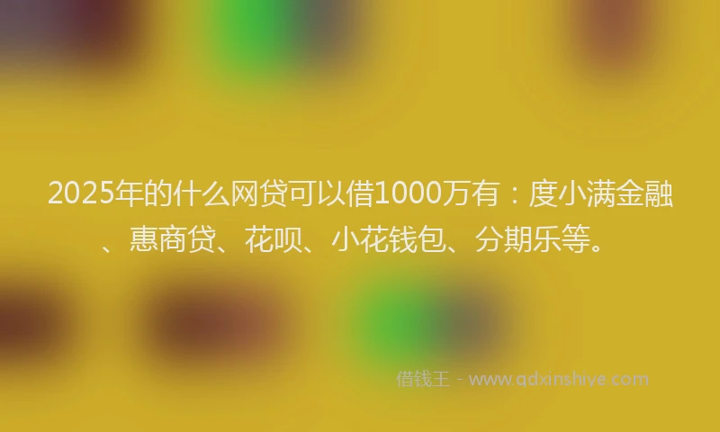 2025年的什么网贷可以借1000万有：度小满金融、惠商贷、花呗、小花钱包、分期乐等。