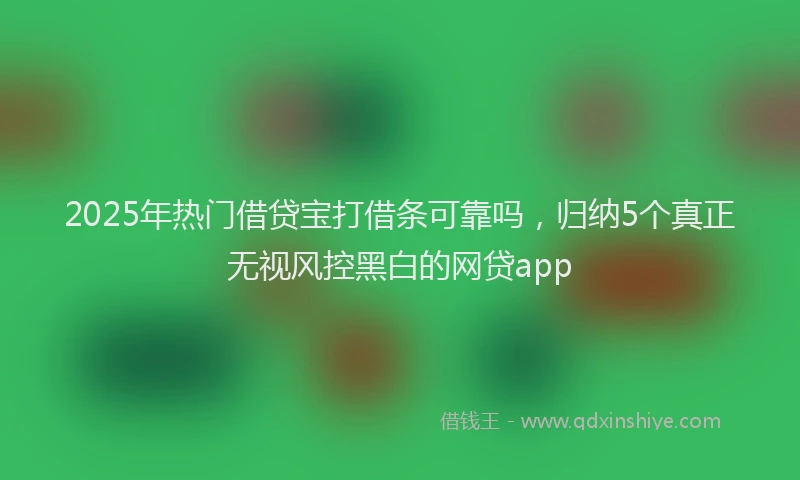 2025年热门借贷宝打借条可靠吗，归纳5个真正无视风控黑白的网贷app