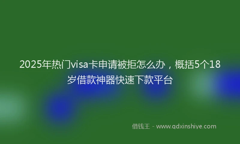 2025年热门visa卡申请被拒怎么办，概括5个18岁借款神器快速下款平台