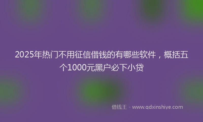 2025年热门不用征信借钱的有哪些软件，概括五个1000元黑户必下小贷