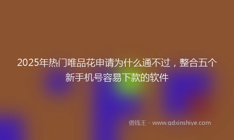2025年热门唯品花申请为什么通不过，整合五个新手机号容易下款的软件