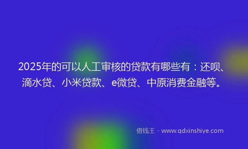 2025年的可以人工审核的贷款有哪些有：还呗、滴水贷、小米贷款、e微贷、中原消费金融等。