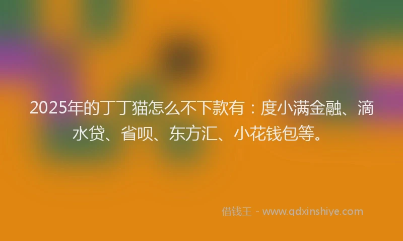 2025年的丁丁猫怎么不下款有：度小满金融、滴水贷、省呗、东方汇、小花钱包等。