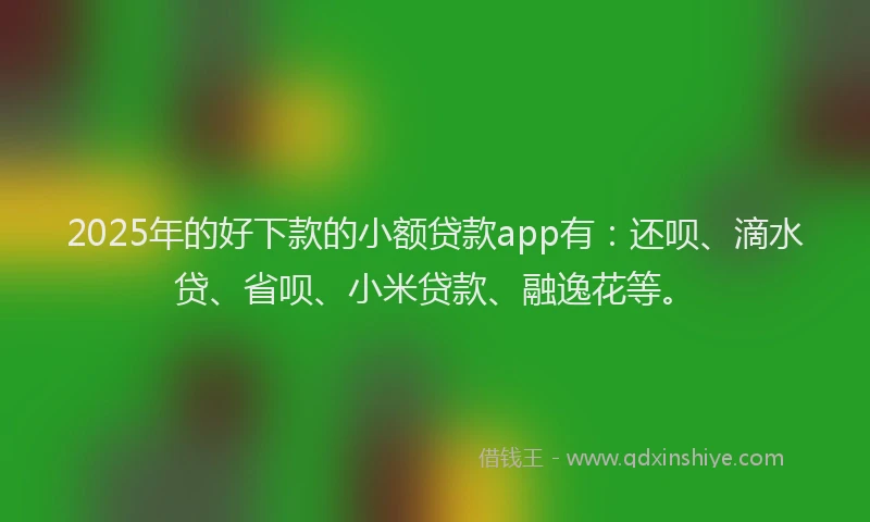 2025年的好下款的小额贷款app有：还呗、滴水贷、省呗、小米贷款、融逸花等。