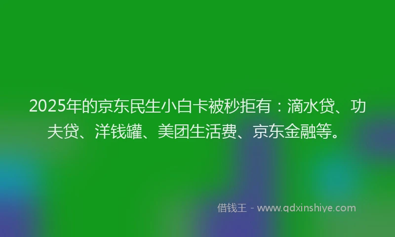 2025年的京东民生小白卡被秒拒有：滴水贷、功夫贷、洋钱罐、美团生活费、京东金融等。