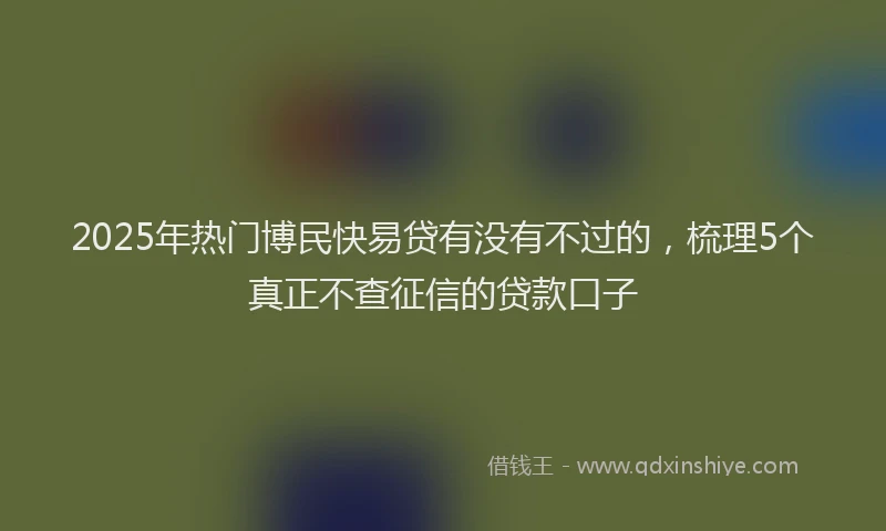 2025年热门博民快易贷有没有不过的，梳理5个真正不查征信的贷款口子