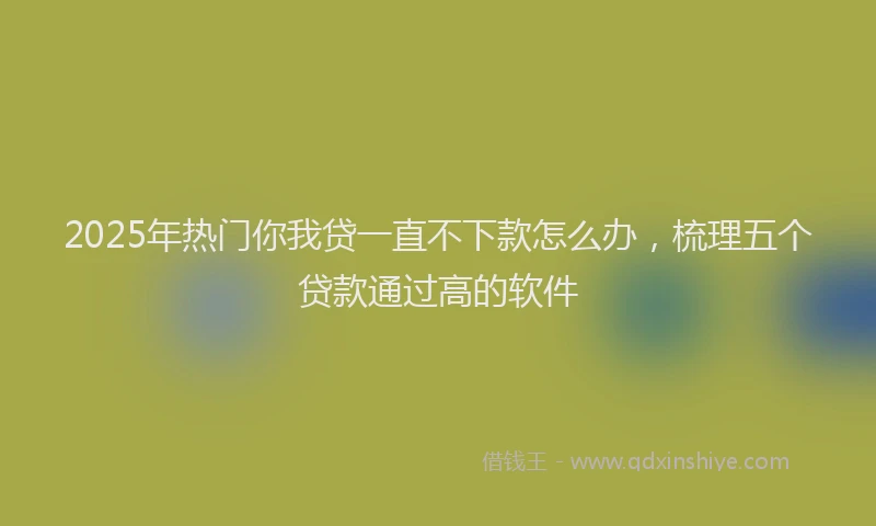 2025年热门你我贷一直不下款怎么办，梳理五个贷款通过高的软件