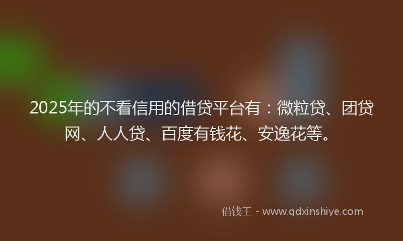 2025年的不看信用的借贷平台有：微粒贷、团贷网、人人贷、百度有钱花、安逸花等。