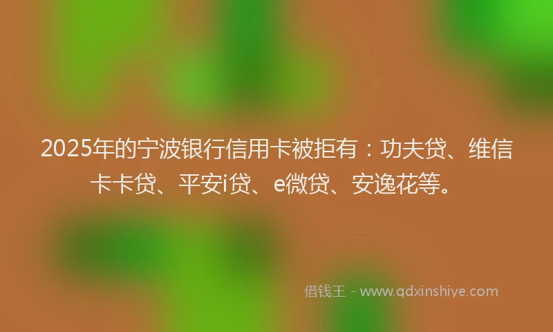 2025年的宁波银行信用卡被拒有：功夫贷、维信卡卡贷、平安i贷、e微贷、安逸花等。