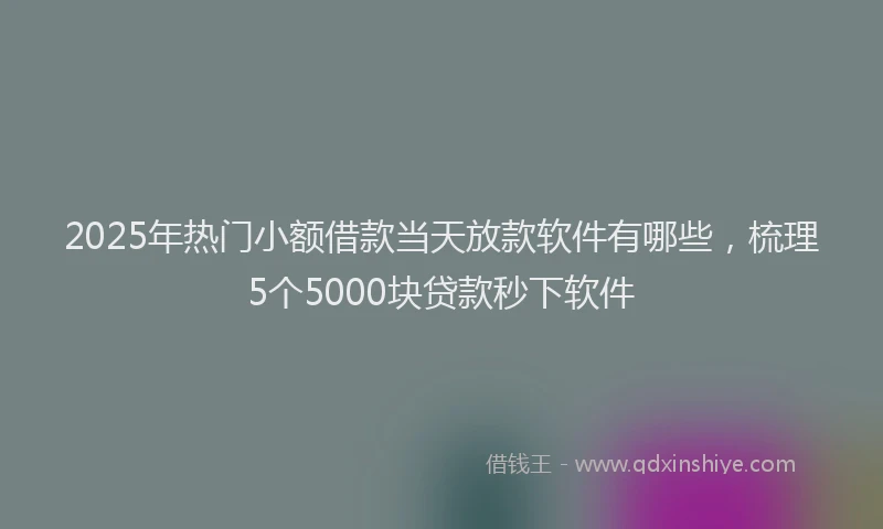 2025年热门小额借款当天放款软件有哪些，梳理5个5000块贷款秒下软件