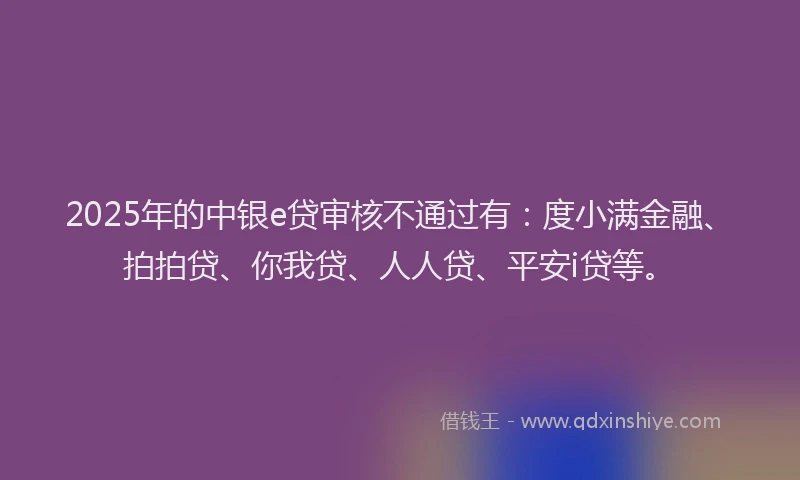 2025年的中银e贷审核不通过有：度小满金融、拍拍贷、你我贷、人人贷、平安i贷等。