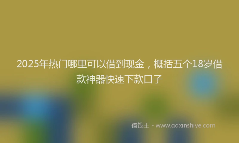 2025年热门哪里可以借到现金，概括五个18岁借款神器快速下款口子
