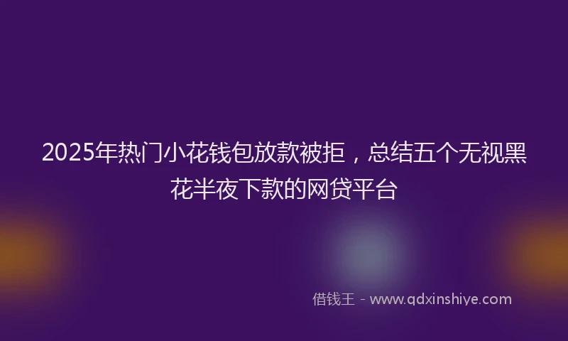 2025年热门小花钱包放款被拒，总结五个无视黑花半夜下款的网贷平台