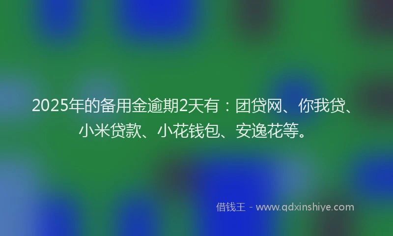 2025年的备用金逾期2天有：团贷网、你我贷、小米贷款、小花钱包、安逸花等。