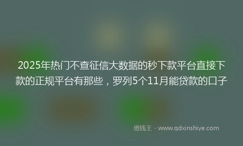 2025年热门不查征信大数据的秒下款平台直接下款的正规平台有那些，罗列5个11月能贷款的口子