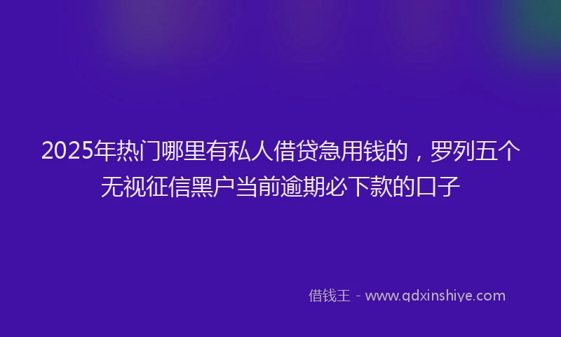 2025年热门哪里有私人借贷急用钱的，罗列五个无视征信黑户当前逾期必下款的口子