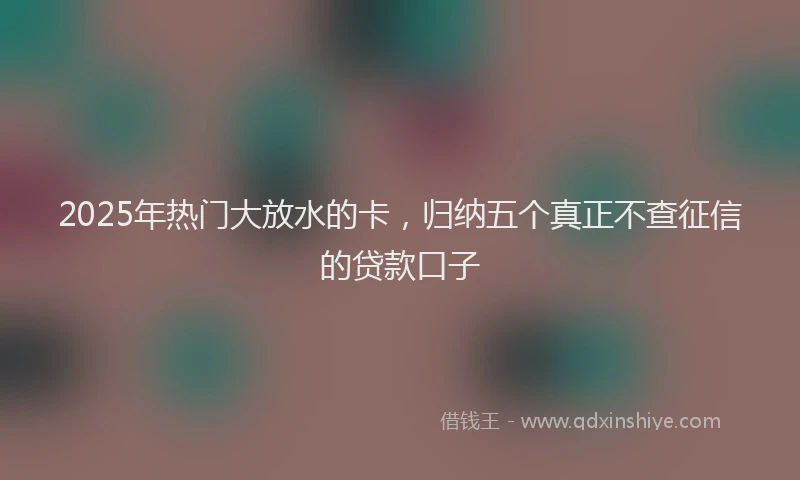 2025年热门大放水的卡，归纳五个真正不查征信的贷款口子