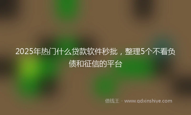 2025年热门什么贷款软件秒批，整理5个不看负债和征信的平台