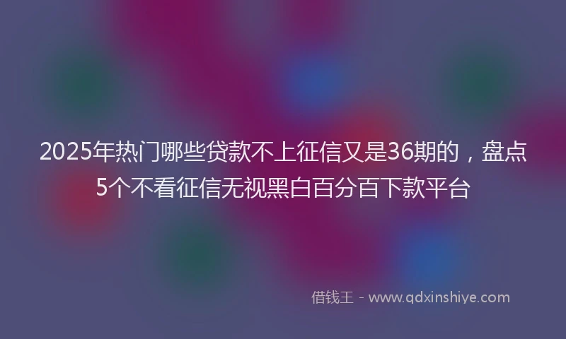 2025年热门哪些贷款不上征信又是36期的，盘点5个不看征信无视黑白百分百下款平台