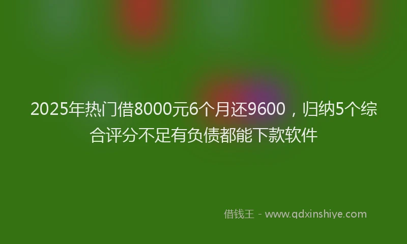 2025年热门借8000元6个月还9600，归纳5个综合评分不足有负债都能下款软件