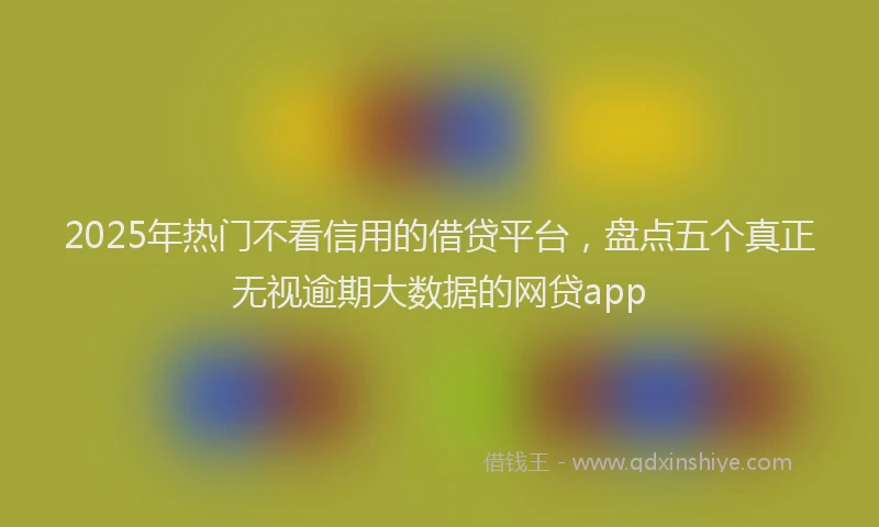 2025年热门不看信用的借贷平台，盘点五个真正无视逾期大数据的网贷app