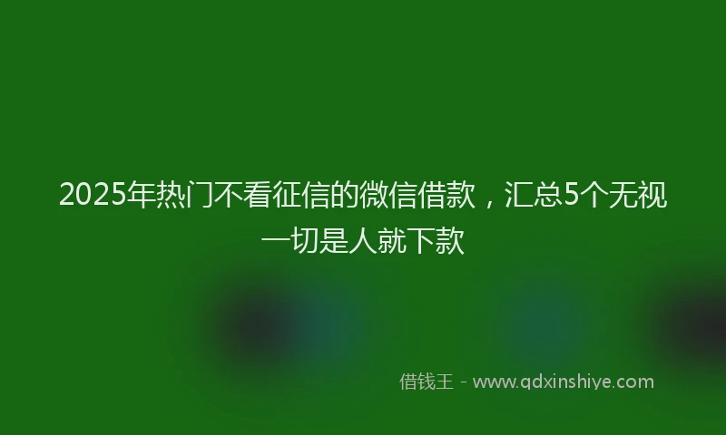 2025年热门不看征信的微信借款，汇总5个无视一切是人就下款