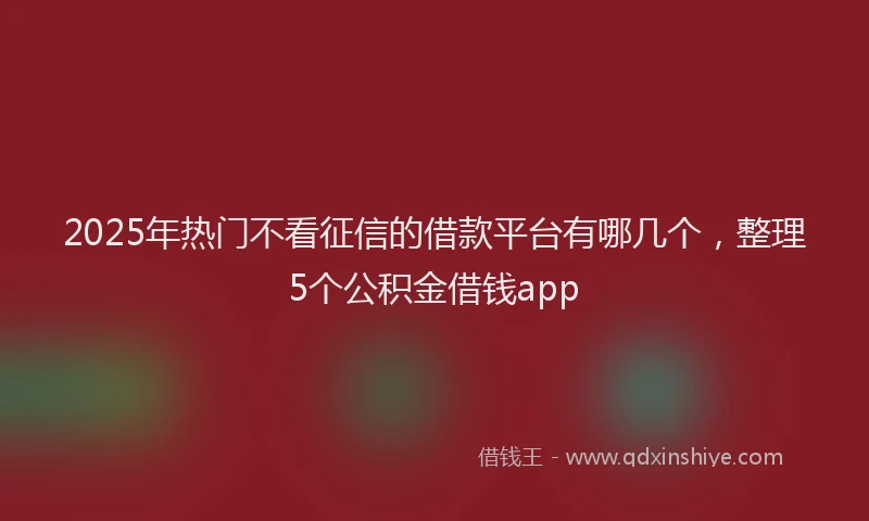 2025年热门不看征信的借款平台有哪几个，整理5个公积金借钱app