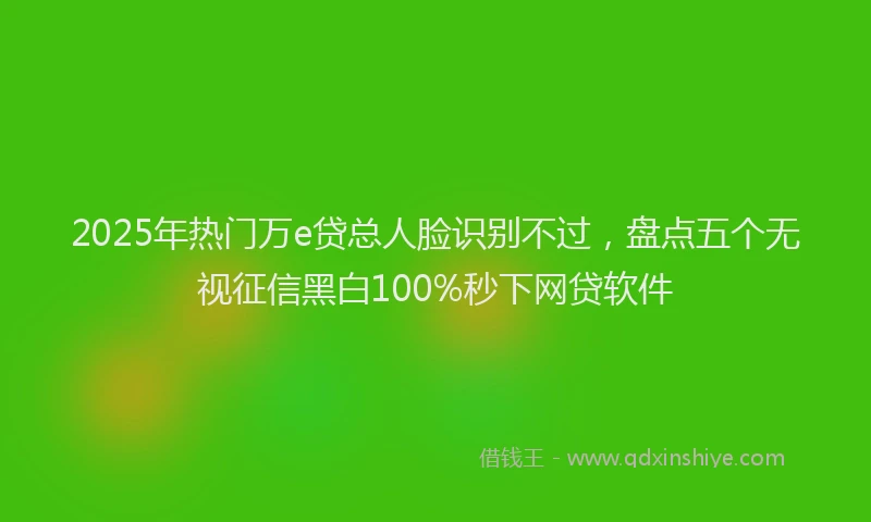 2025年热门万e贷总人脸识别不过，盘点五个无视征信黑白100%秒下网贷软件