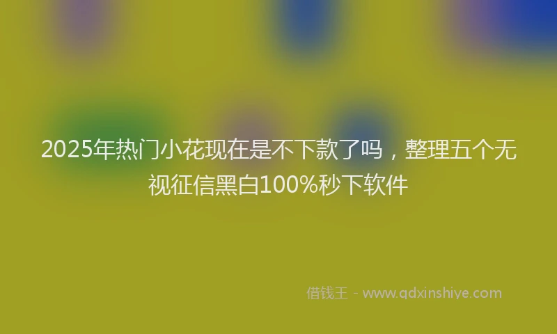 2025年热门小花现在是不下款了吗，整理五个无视征信黑白100%秒下软件