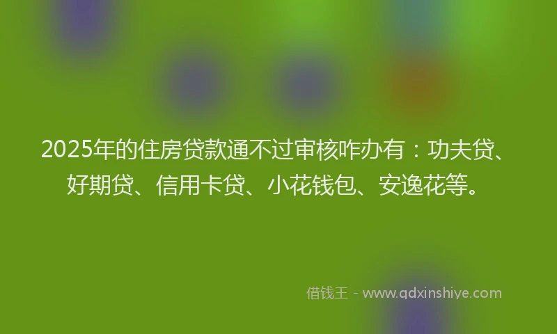 2025年的住房贷款通不过审核咋办有：功夫贷、好期贷、信用卡贷、小花钱包、安逸花等。