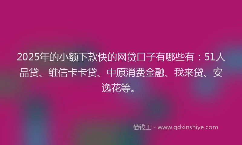 2025年的小额下款快的网贷口子有哪些有：51人品贷、维信卡卡贷、中原消费金融、我来贷、安逸花等。
