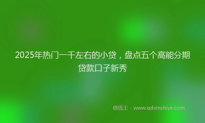 2025年热门一千左右的小贷，盘点五个高能分期贷款口子新秀