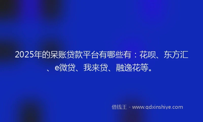 2025年的呆账贷款平台有哪些有：花呗、东方汇、e微贷、我来贷、融逸花等。