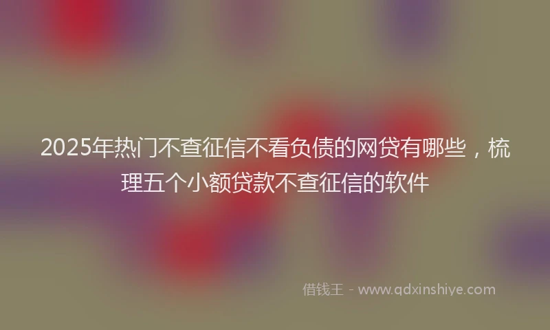 2025年热门不查征信不看负债的网贷有哪些，梳理五个小额贷款不查征信的软件