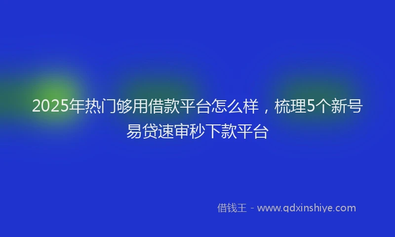 2025年热门够用借款平台怎么样，梳理5个新号易贷速审秒下款平台
