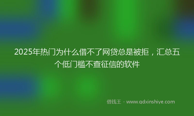 2025年热门为什么借不了网贷总是被拒，汇总五个低门槛不查征信的软件