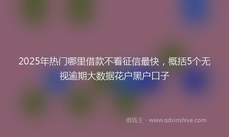 2025年热门哪里借款不看征信最快，概括5个无视逾期大数据花户黑户口子