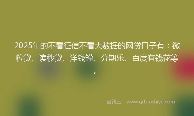 2025年的不看征信不看大数据的网贷口子有：微粒贷、读秒贷、洋钱罐、分期乐、百度有钱花等。